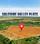 Gallery Cover Pic of The Solitaire Valley Plots