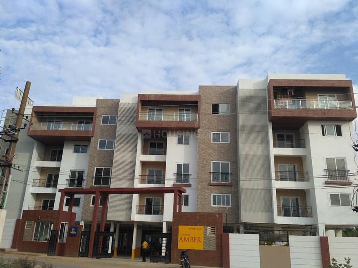 Concorde Amber Elevation 1