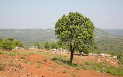 Gallery Cover Pic of Saurabh Agro Brahmagiri Bungalow Project Phase 6