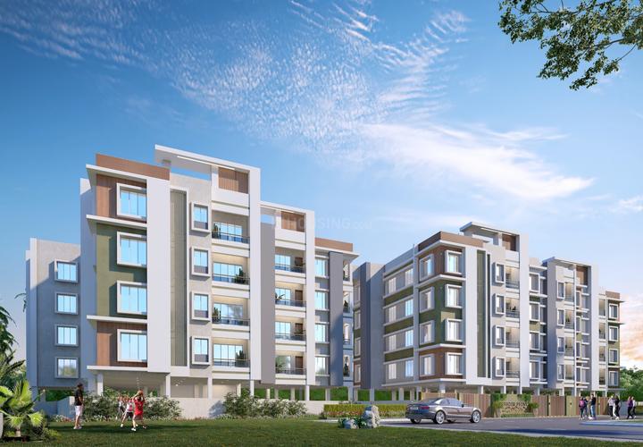 Gallery Cover Pic of Paradise Peony