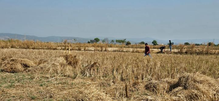 Gallery Cover Pic of Plots In Panvel