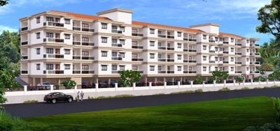 Pereira Morning Star Project Images