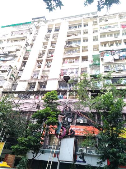 Dimple Court Main Image 1