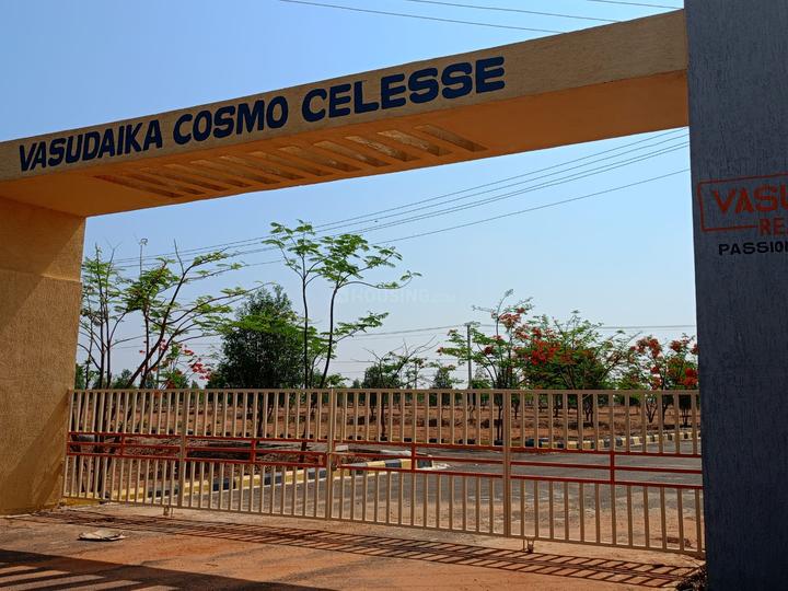 Gallery Cover Pic of Cosmo Celesse 