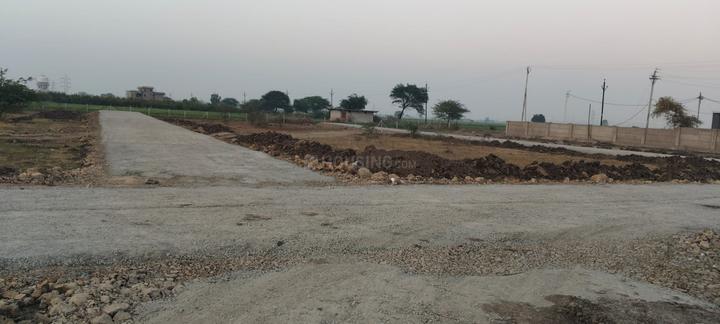 Graceland Highway Avenue Main Image 1