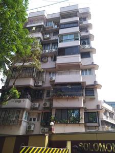 Gallery Cover Pic of Solomon Apartments