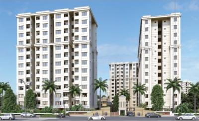 NRS Milestone City Pulse Project Images