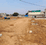 Gallery Cover Pic of Harfateh Green Fields Homes