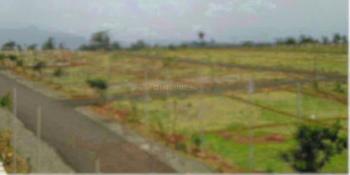 Gallery Cover Pic of Viraj Layout