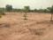 Gallery Cover Pic of Siyora Spring Fields