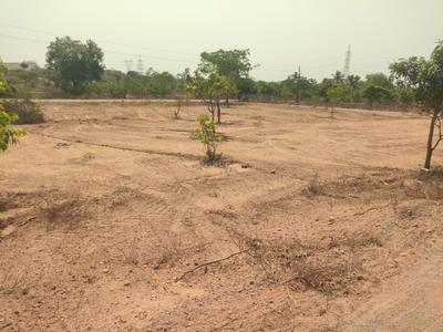 Siyora Spring Fields