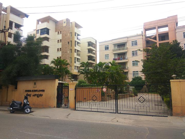 Gallery Cover Pic of Sobha Sunflower