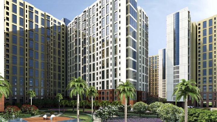 Gallery Cover Pic of Rising City