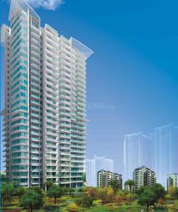 Gallery Cover Pic of Amrapali Heartbeat City