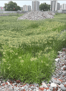 Residential Lands for Sale in Vrindavan Elite