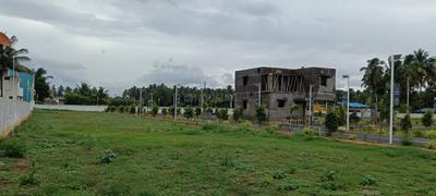 Dream Emerald Avenue