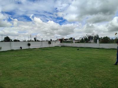 Project Image of 1215 Sq.ft Residential Plot / Land for sale in Morta Village for Rs. 3915000