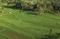 Gallery Cover Pic of Imperial Goa Phase 1