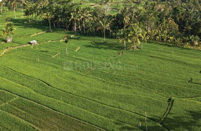 Gallery Cover Pic of Imperial Goa Phase 1
