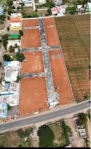 Apple Garden Project Images