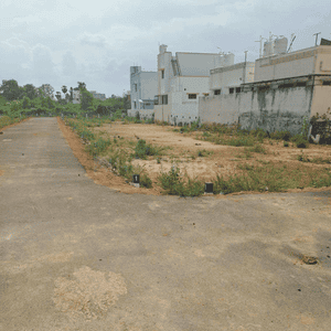 Elite Avenue Project Images