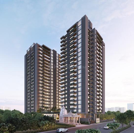 Gallery Cover Pic of NB Palm