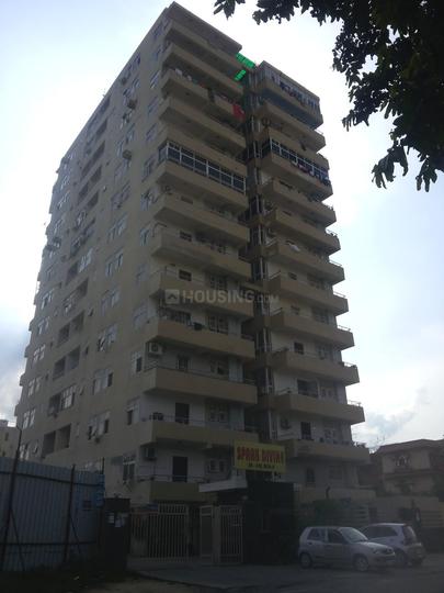 Spark Divine - Image 1