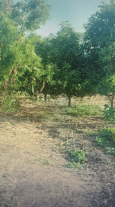 Residential Lands for Sale in Balaji Amrut Business Park 3