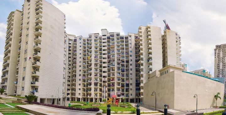 Gallery Cover Pic of Sethi Max Royal