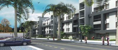 Gallery Cover Pic of Ansal Palm Grove