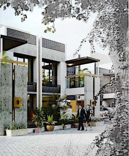 Anmol Greenz Main Image 1