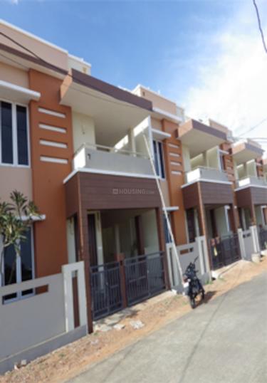 Gallery Cover Pic of Sebco Gulmohar