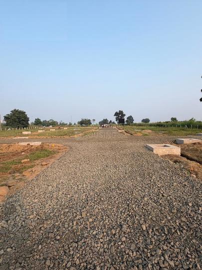 Vijaya Saraswati Main Image 1