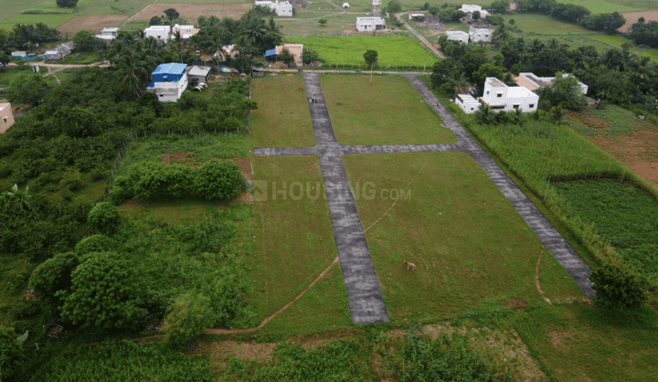 Gallery Cover Pic of Sri Shanmuga Nagar