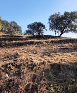 Sunhil Rishigram Elevation 1