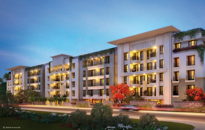 Gallery Cover Pic of Luxora Treeline 5