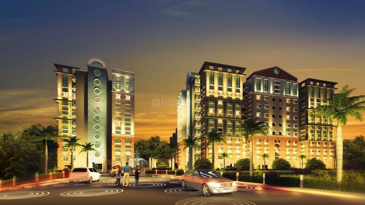 Gallery Cover Pic of The County