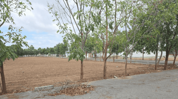 Aarudhras Spring Field Extension 8 Main Image 1