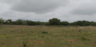 Gallery Cover Pic of Legacy Mihira