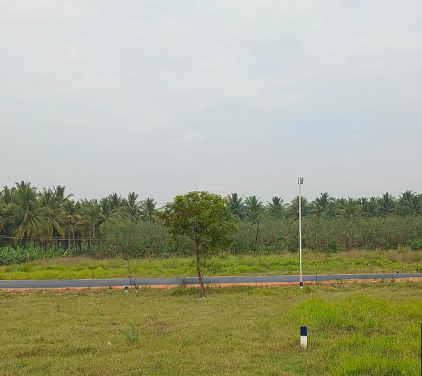 Lotus City Extension Main Image 1