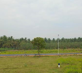 Gallery Cover Pic of Lotus City Extension