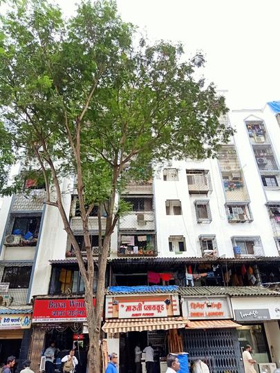 Gallery Cover Pic of Shankeshwar Nagar