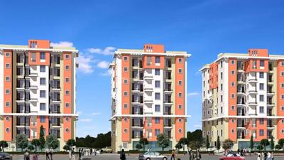 Gallery Cover Pic of Suwalka Suwalkas Pearl