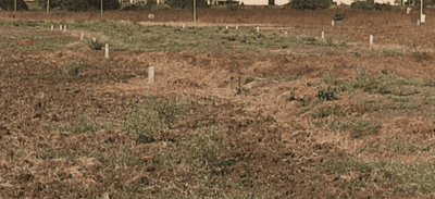 Bharari Golden Point Elevation 1