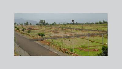 Sri Sai Teja Gandham Plantation