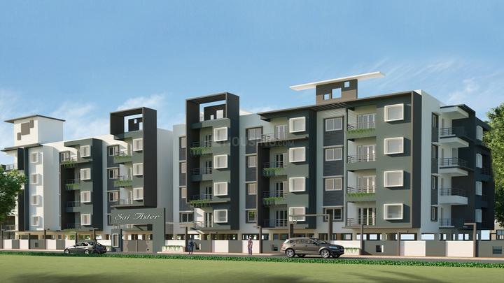 Gallery Cover Pic of Sai Aster