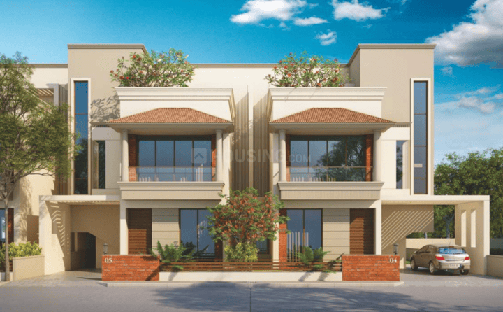 Gallery Cover Pic of Ambe Redcoral Pride Phase 2