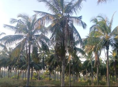 Residential Lands for Sale in Indiabuild Artemis Address Phase 2