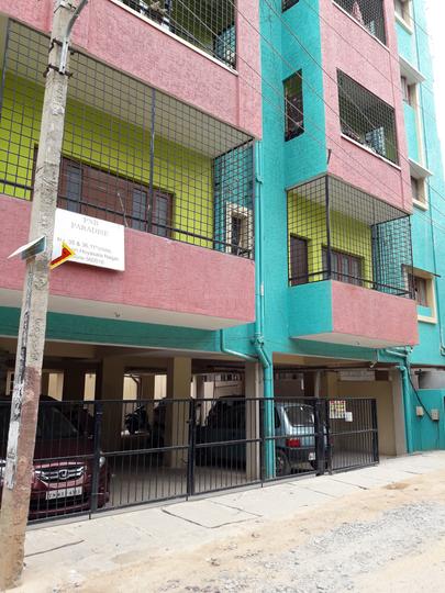 Gallery Cover Pic of PNB Paradise Apartment