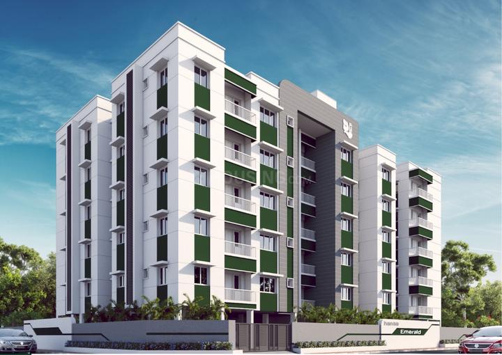 Gallery Cover Pic of Hansa Emerald